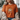 Person wearing an orange t-shirt with a floral and pumpkin design, sitting on a couch.